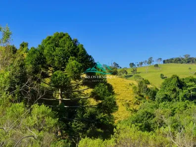 Lote/Terreno à venda, 20000m² no , Toledo