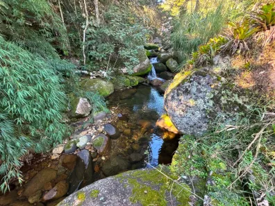 Fazenda/Sítio com 6 Quartos à venda, 250m² no Vargem Grande, Teresópolis