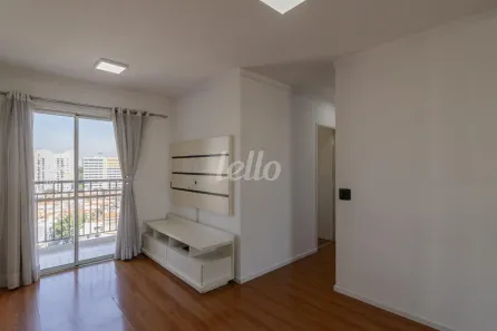 Apartamento com 3 Quartos para alugar, 57m² no Vila Moreira, São Paulo
