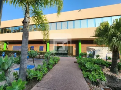 Sala Comercial para alugar, 250m² no Santo Antônio de Lisboa, Florianópolis