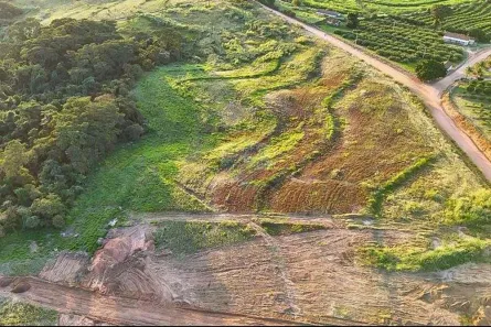 Fazenda/Sítio à venda, 20400m² no Centro, Monte Alto