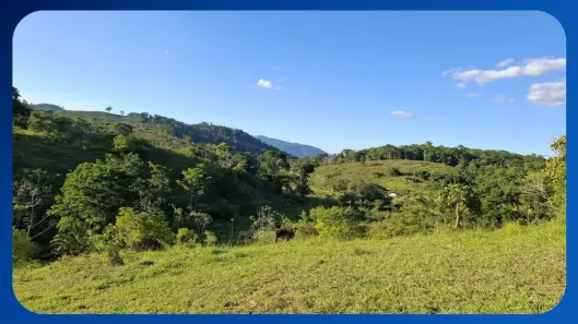 Fazenda/Sítio com 1 Quarto à venda, 10m² no Área Rural de Aiquara, Aiquara