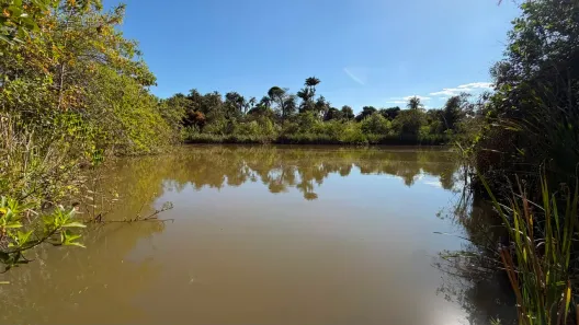 Fazenda/Sítio com 5 Quartos à venda, 164m² no Área Rural de Anápolis, Anápolis