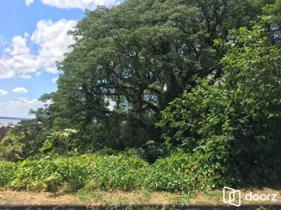 Lote/Terreno à venda, 671m² no Tristeza, Porto Alegre