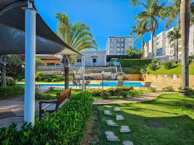 Apartamento com 3 Quartos à venda, 60m² no Jardim Nova Europa, Campinas