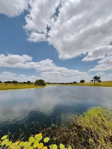 Fazenda/Sítio com 4 Quartos à venda, 1790000m² no , Monte Alegre