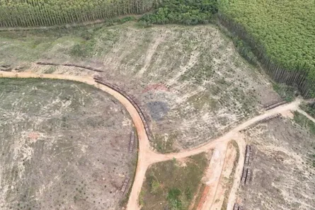 Lote/Terreno à venda, 20000m² no , Lima Duarte