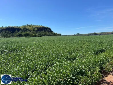 Fazenda/Sítio com 5 Quartos à venda, 4446m² no Setor Central, Novo Acordo