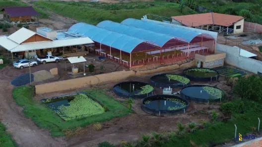 Fazenda/Sítio à venda, 10000m² no Área Rural de Votorantim, Votorantim