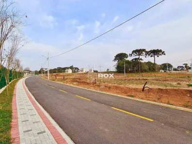 Lote/Terreno à venda, 245m² no Costeira, São José dos Pinhais