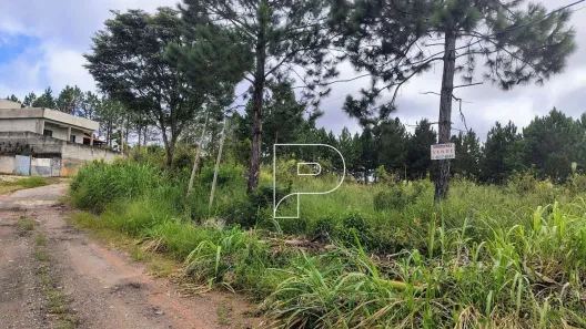 Lote/Terreno à venda, 6310m² no Parque Belbancy, Vargem Grande Paulista