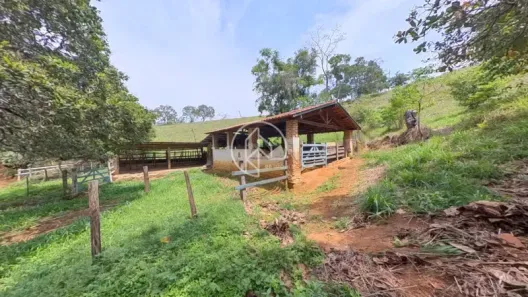Fazenda/Sítio com 4 Quartos à venda, 140m² no , Rio Novo