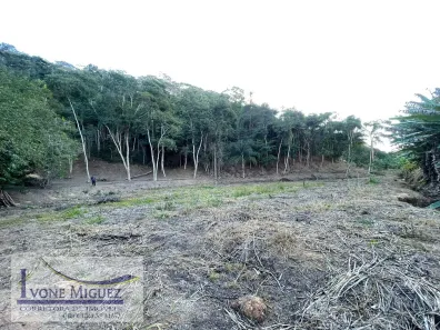 Lote/Terreno à venda, 39847m² no Campo Verde, Paty do Alferes