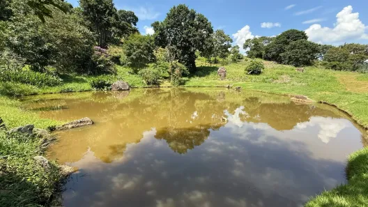Fazenda/Sítio com 1 Quarto à venda, 125000m² no , Jacutinga