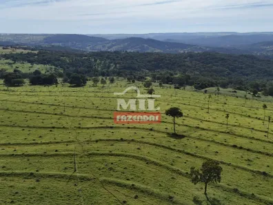 Fazenda/Sítio à venda, 1m² no Centro, Goiatuba
