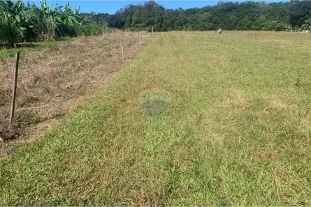 Fazenda/Sítio à venda, 40000m² no Alto Paredão, Santa Cruz do Sul