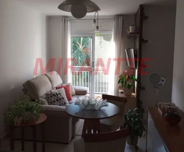 Apartamento com 2 Quartos à venda, 50m² no Protendit, São Paulo