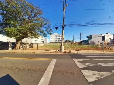 Lote/Terreno para alugar, 1000m² no Chácaras Antonieta, Limeira