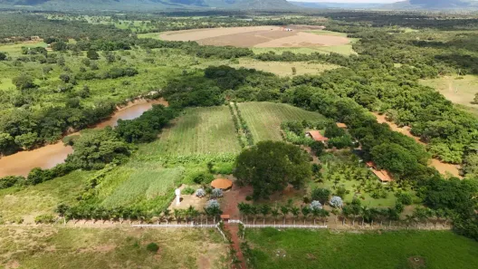 Fazenda/Sítio com 2 Quartos à venda, 33m² no , Buritis