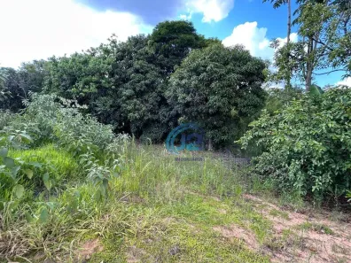Fazenda/Sítio com 2 Quartos à venda, 150m² no , Espírito Santo do Pinhal