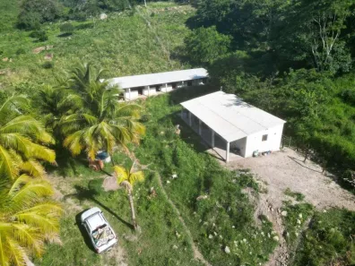 Fazenda/Sítio à venda, 20000m² no , Bananeiras