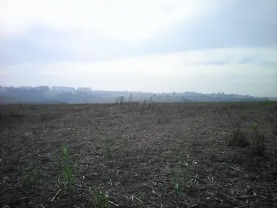 Lote/Terreno à venda, 146000m² no Estância Árvore da Vida, Sumaré