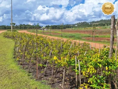 Lote/Terreno à venda, 639m² no Alphaville - Lagoa dos Ingleses, Nova Lima