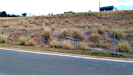 Lote/Terreno à venda, 303m² no Colônia Dona Luíza, Ponta Grossa