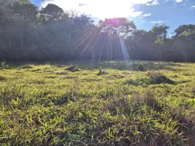 Fazenda/Sítio com 3 Quartos à venda, 150m² no Área Rural de Goianésia, Goianésia
