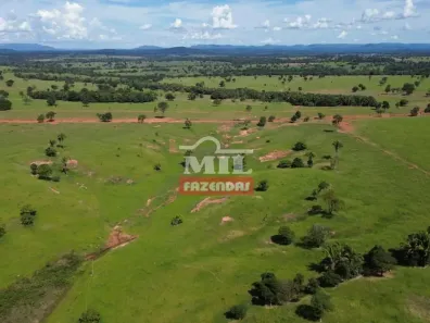 Fazenda/Sítio à venda, 500m² no , Novo Brasil