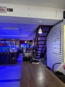 Prédio Comercial para alugar, 278m² no Jabaquara, São Paulo