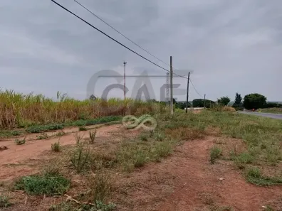 Fazenda/Sítio à venda, 10m² no Área Rural de Artur Nogueira, Artur Nogueira