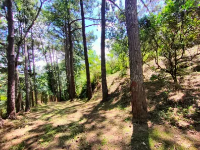 Lote/Terreno à venda, 900m² no Itaipava, Petrópolis