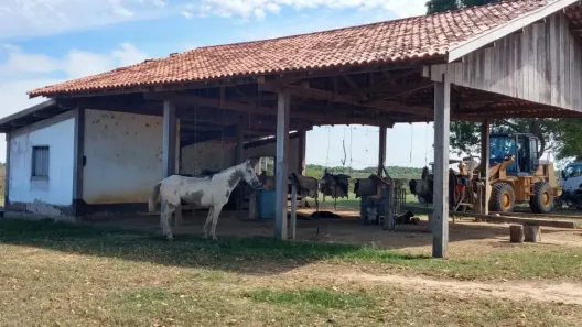 Fazenda/Sítio com 2 Quartos à venda, 876760m² no , Poconé