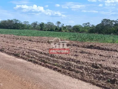Fazenda/Sítio à venda, 1m² no , Cristianópolis