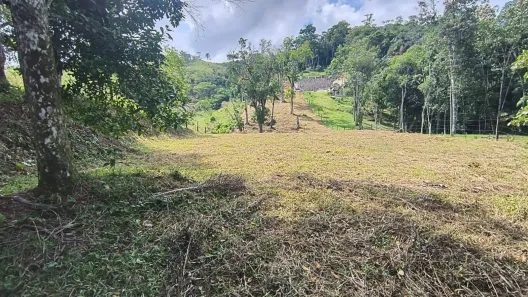Lote/Terreno à venda, 6700m² no Sul do Rio, Santo Amaro da Imperatriz