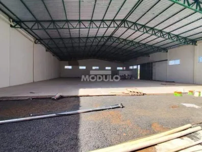 Galpão/Depósito/Armazém para alugar, 1500m² no Segismundo Pereira, Uberlândia