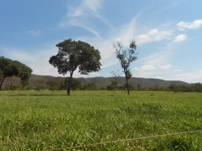 Fazenda/Sítio com 6 Quartos à venda, 14000000m² no Centro, Buenópolis