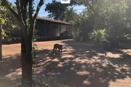 com 3 Quartos à venda, 12008m² no Sítios de Recreio dos Bandeirantes, Goiânia