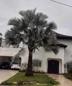 Casa de Condomínio com 4 Quartos à venda, 451m² no Alphaville Residencial Um, Barueri