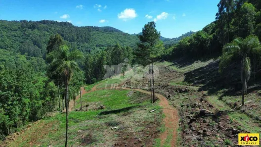 Fazenda/Sítio com 1 Quarto à venda, 5000m² no Nova Petrópolis, Nova Petrópolis