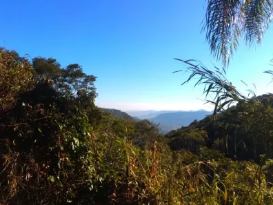 Lote/Terreno à venda, 3585m² no Fazenda Pirajá, Nova Petrópolis