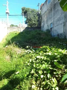 Lote/Terreno à venda, 250m² no Jardim Fortaleza, Guarulhos