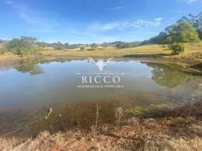 Fazenda/Sítio com 3 Quartos à venda, 2m² no Setor Central, Itaguari