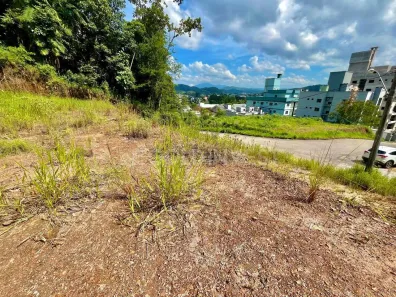 Lote/Terreno à venda, 593m² no Souza Cruz, Brusque