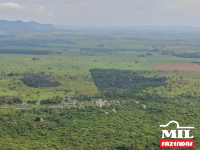 Fazenda/Sítio à venda, 500m² no , Santana do Araguaia