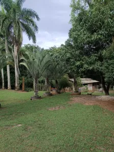 Fazenda/Sítio com 3 Quartos à venda, 300m² no Bairro dos Pires, Limeira