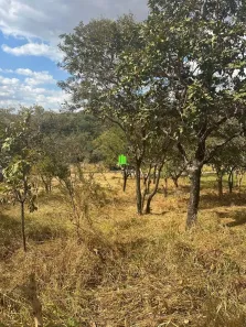 Lote/Terreno à venda, 525m² no Villa Paradiso, Lagoa Santa