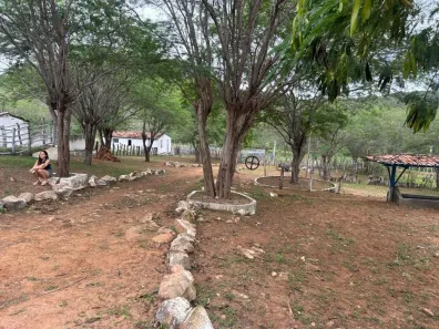 Fazenda/Sítio com 5 Quartos à venda, 1970000m² no Cacimba de Dentro, Cacimba de Dentro
