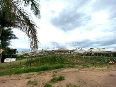 Fazenda/Sítio com 2 Quartos à venda, 100m² no Ponte, Atibaia